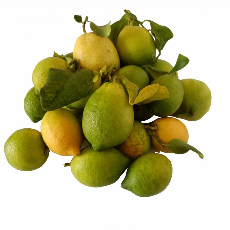frutto fresco di limone
